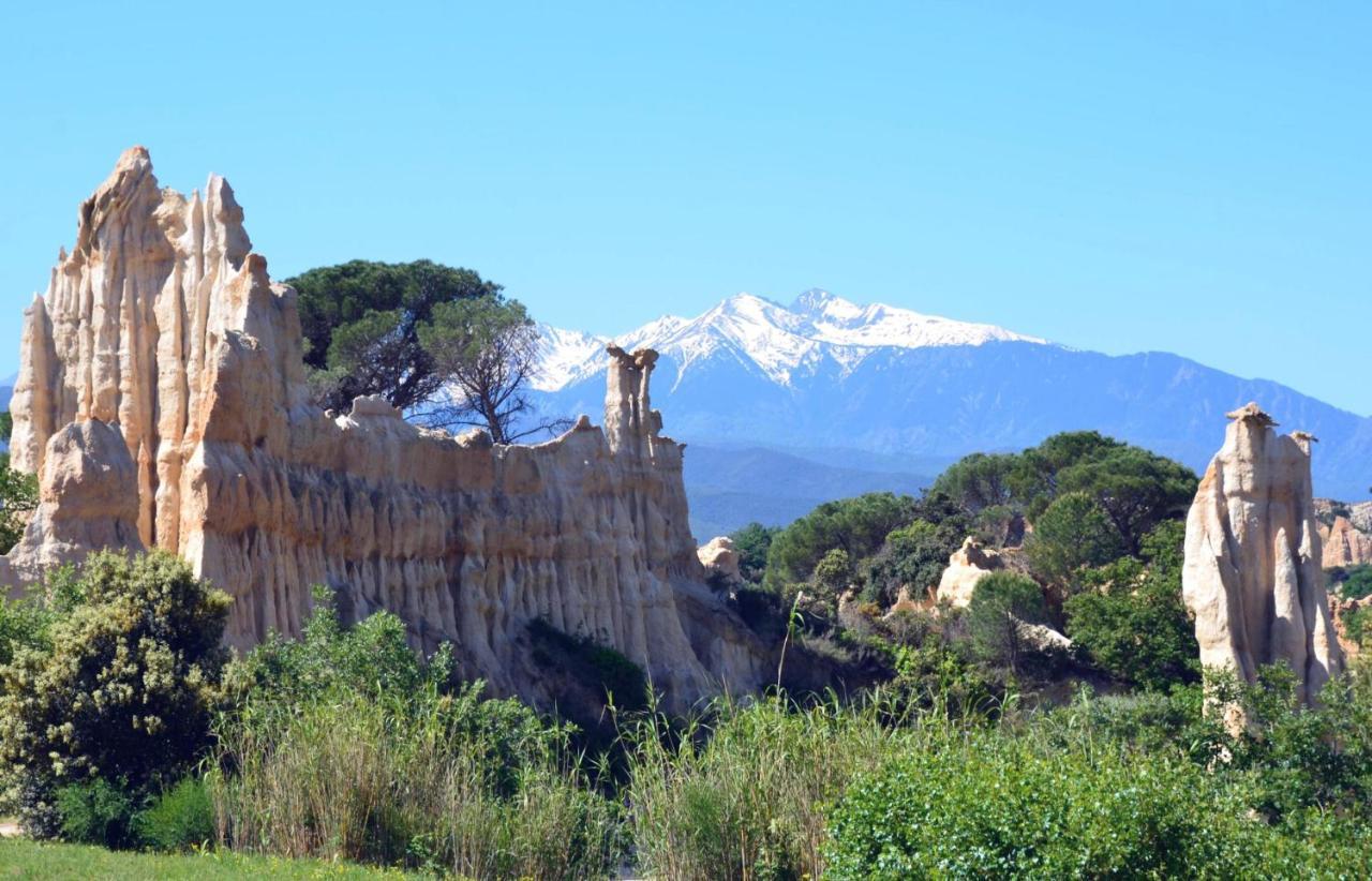 Chalet Mont Canigo Villa Corneilla-de-Conflent Ngoại thất bức ảnh