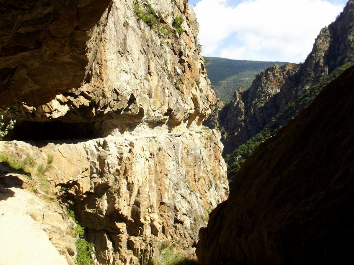 Chalet Mont Canigo Villa Corneilla-de-Conflent Ngoại thất bức ảnh
