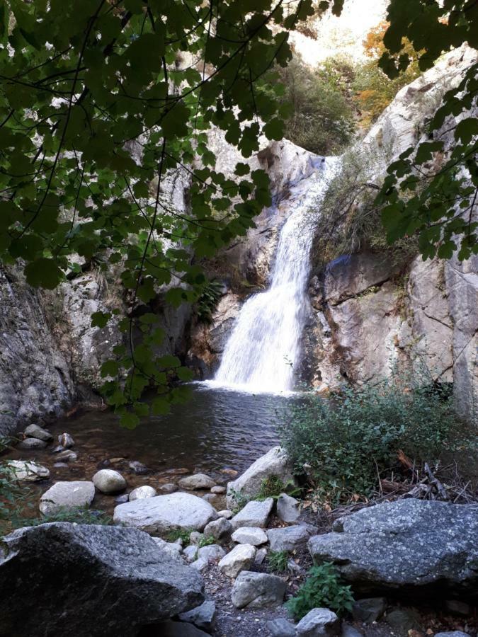 Chalet Mont Canigo Villa Corneilla-de-Conflent Ngoại thất bức ảnh