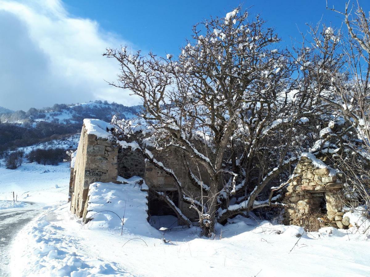 Chalet Mont Canigo Villa Corneilla-de-Conflent Ngoại thất bức ảnh
